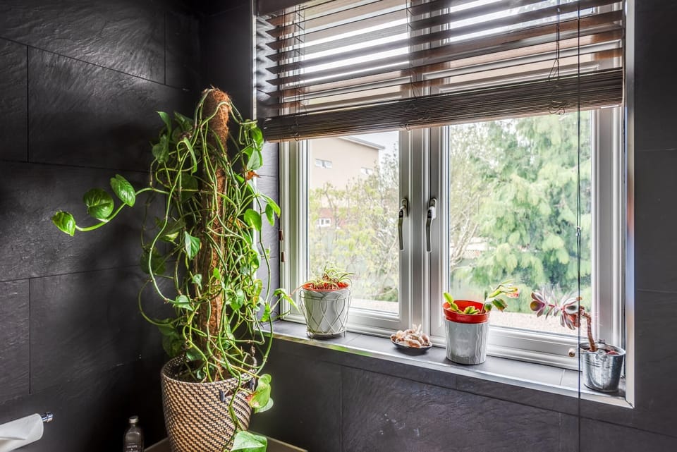 House | 3 bedrooms, WiFi