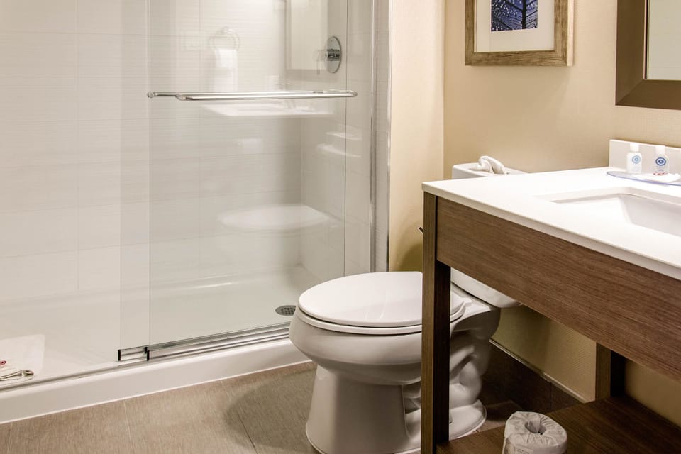 Room, 1 King Bed, Non Smoking (Ground Floor) | Bathroom | Eco-friendly toiletries, hair dryer, towels, soap