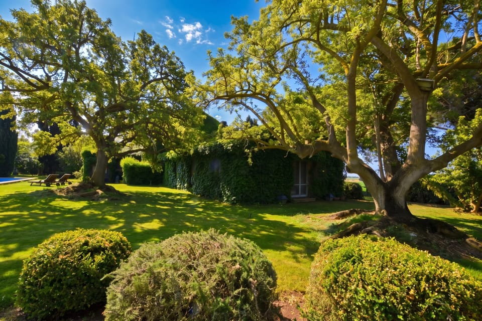 Standard Villa, 6 Bedrooms, Fireplace (Casale Teresa) | Property grounds