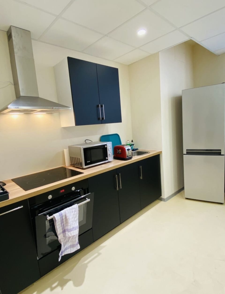 Fridge, microwave, oven, cookware/dishes/utensils