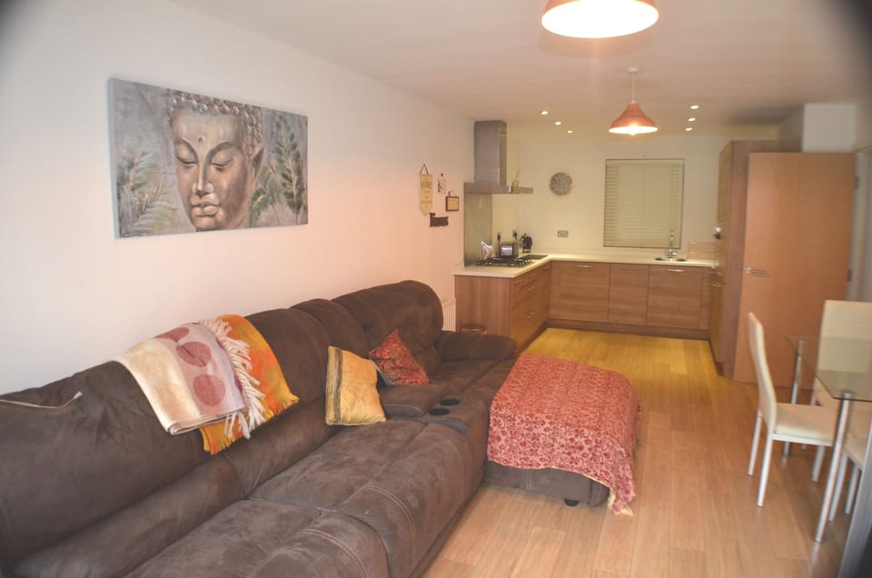 Comfort Apartment, Private Bathroom | Lounge