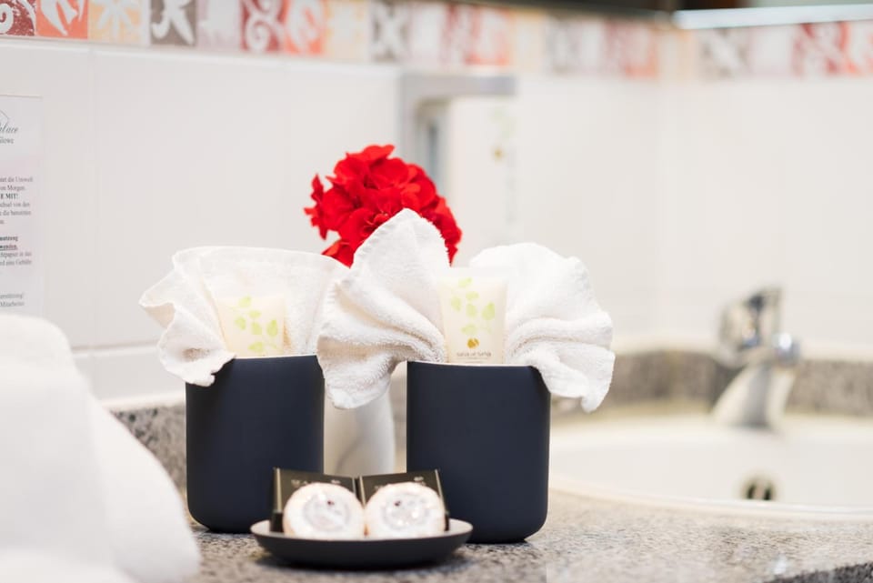 Shower, hair dryer, bathrobes, slippers