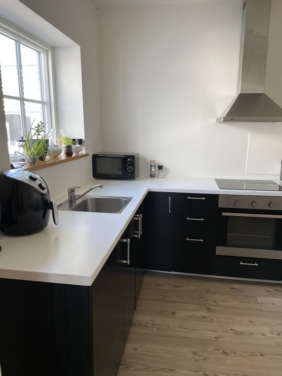 Full-size fridge, microwave, oven, stovetop