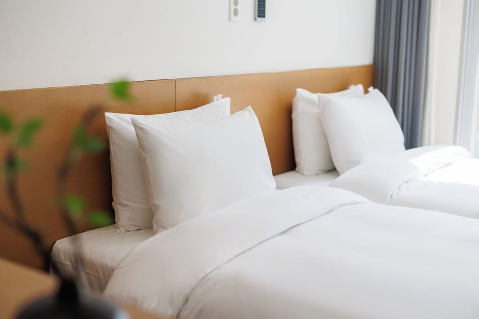 Laptop workspace, free WiFi, bed sheets