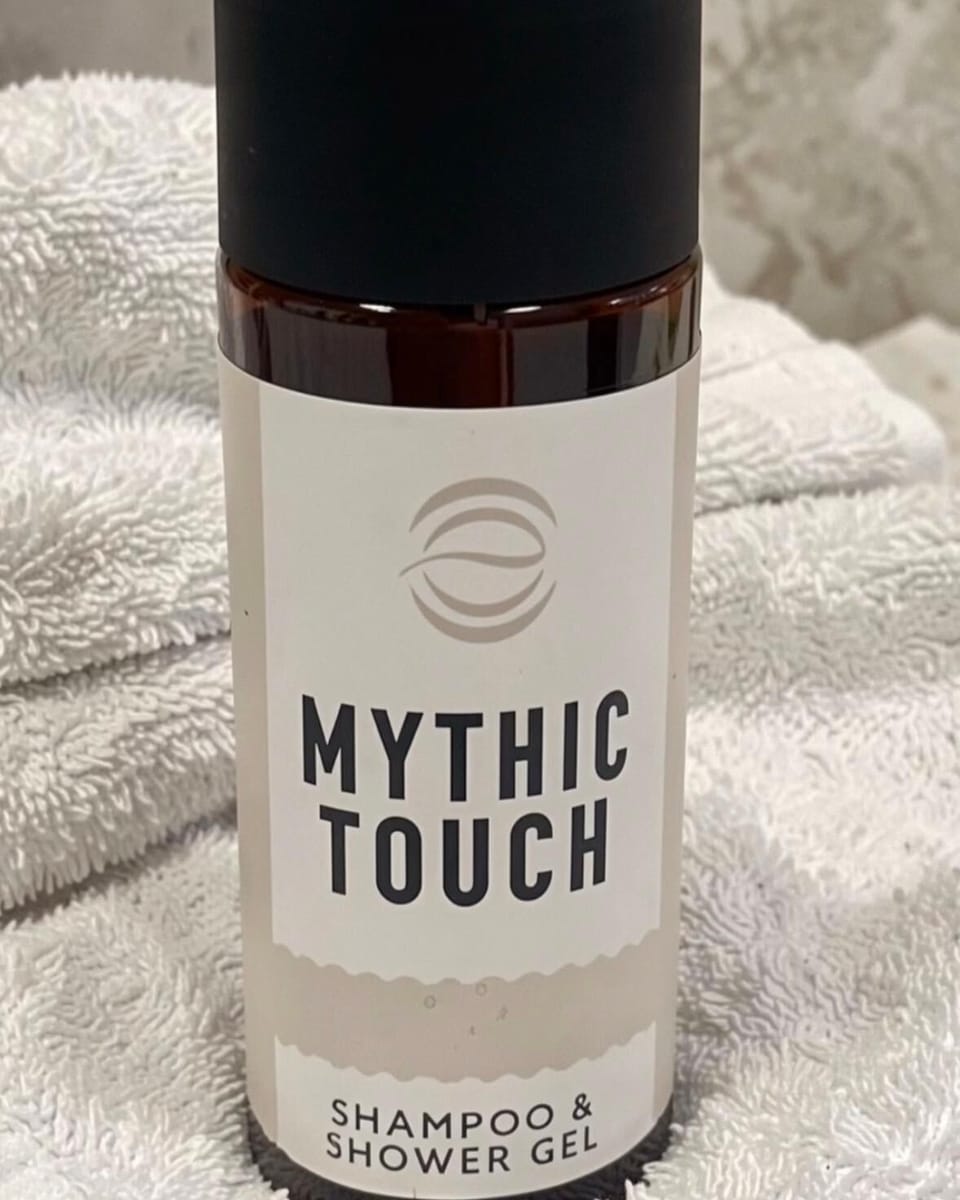 Shower, eco-friendly toiletries, hair dryer, towels