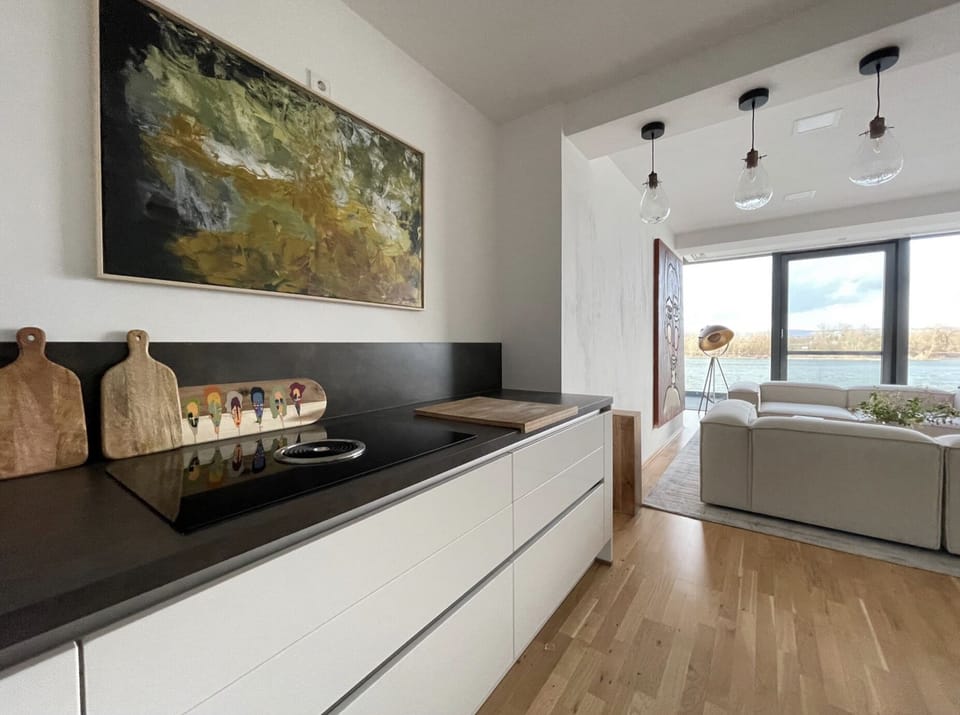 Deluxe Apartment, Accessible, River View | Shared kitchen