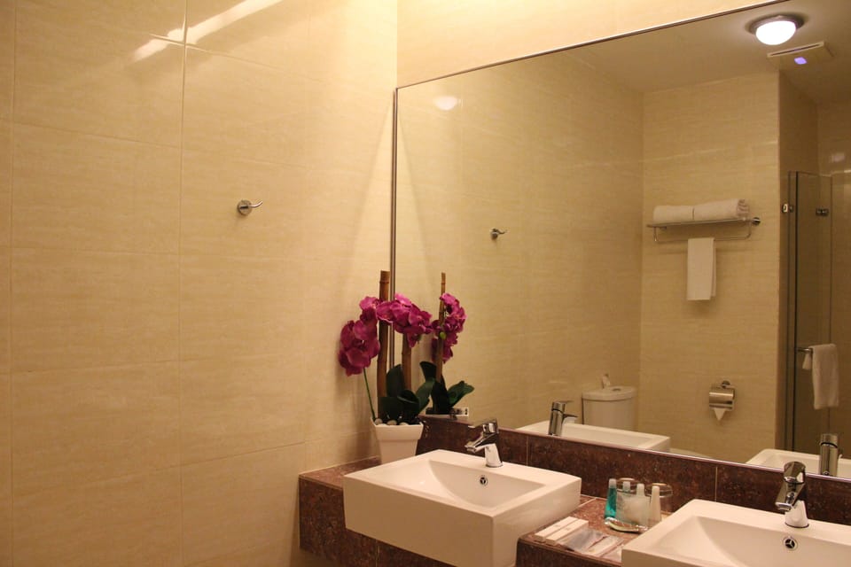 Shower, rainfall showerhead, free toiletries, hair dryer