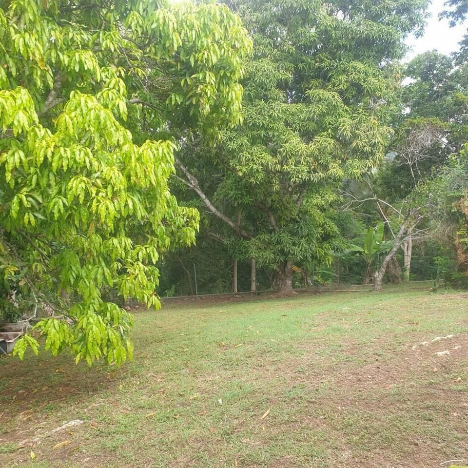 House | Property grounds