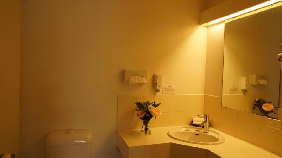 Country Motor Inn Singleton Motel in Singleton