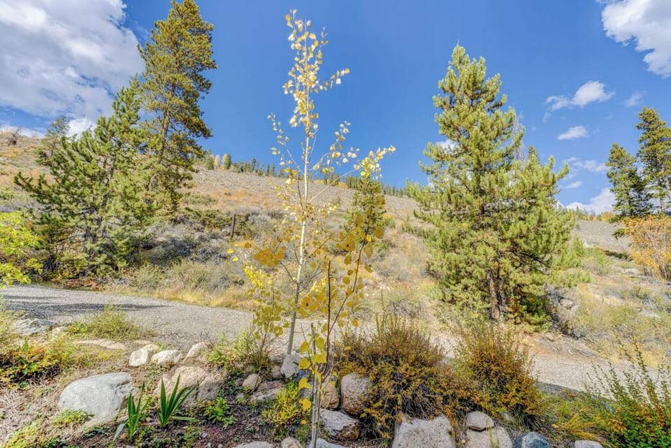 House (3 Bedrooms) | Exterior