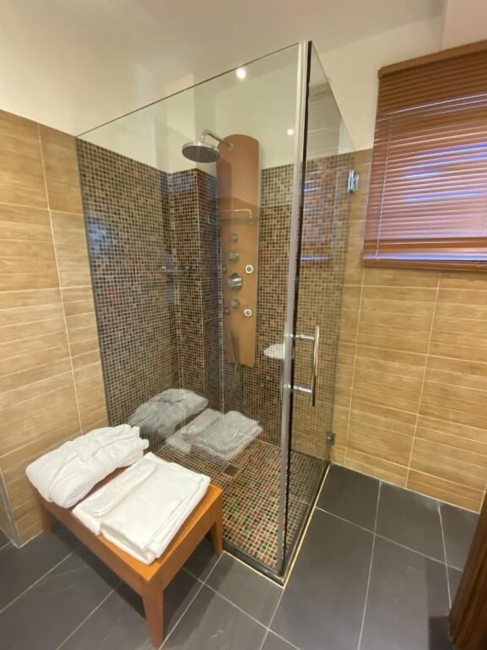 Presidential Room | Bathroom | Shower, towels