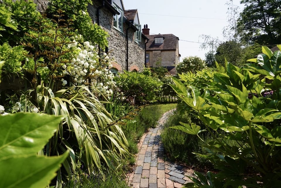 House | Property grounds