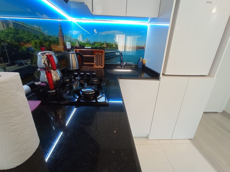 Fridge, stovetop, electric kettle, rice cooker