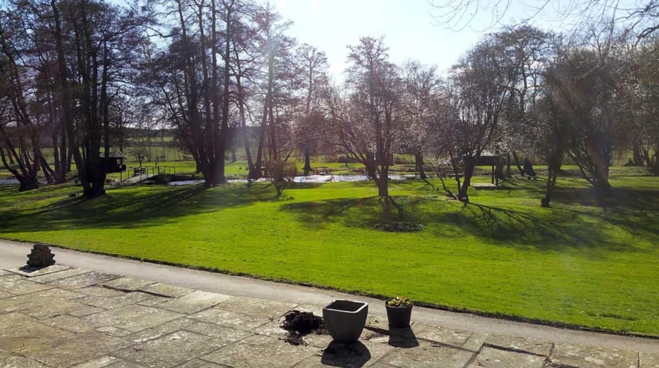 House | Property grounds