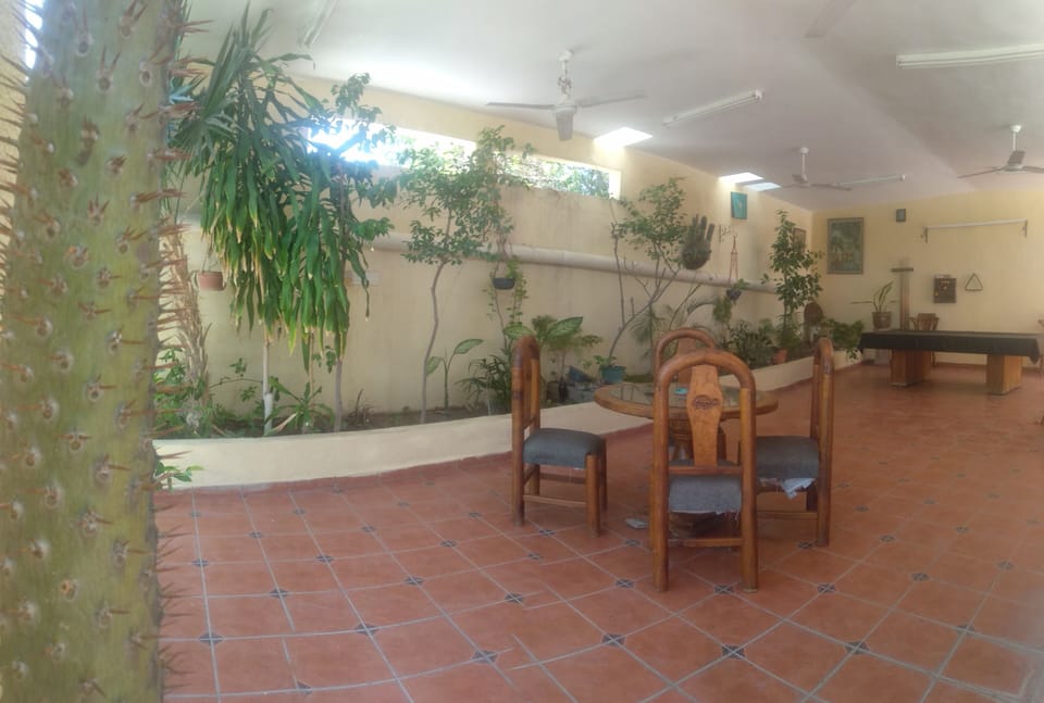 Shared Dormitory, 1 Bedroom, Smoking | Terrace/patio