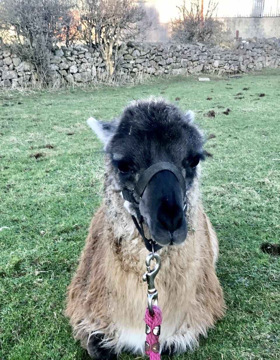 Studio | Miscellaneous