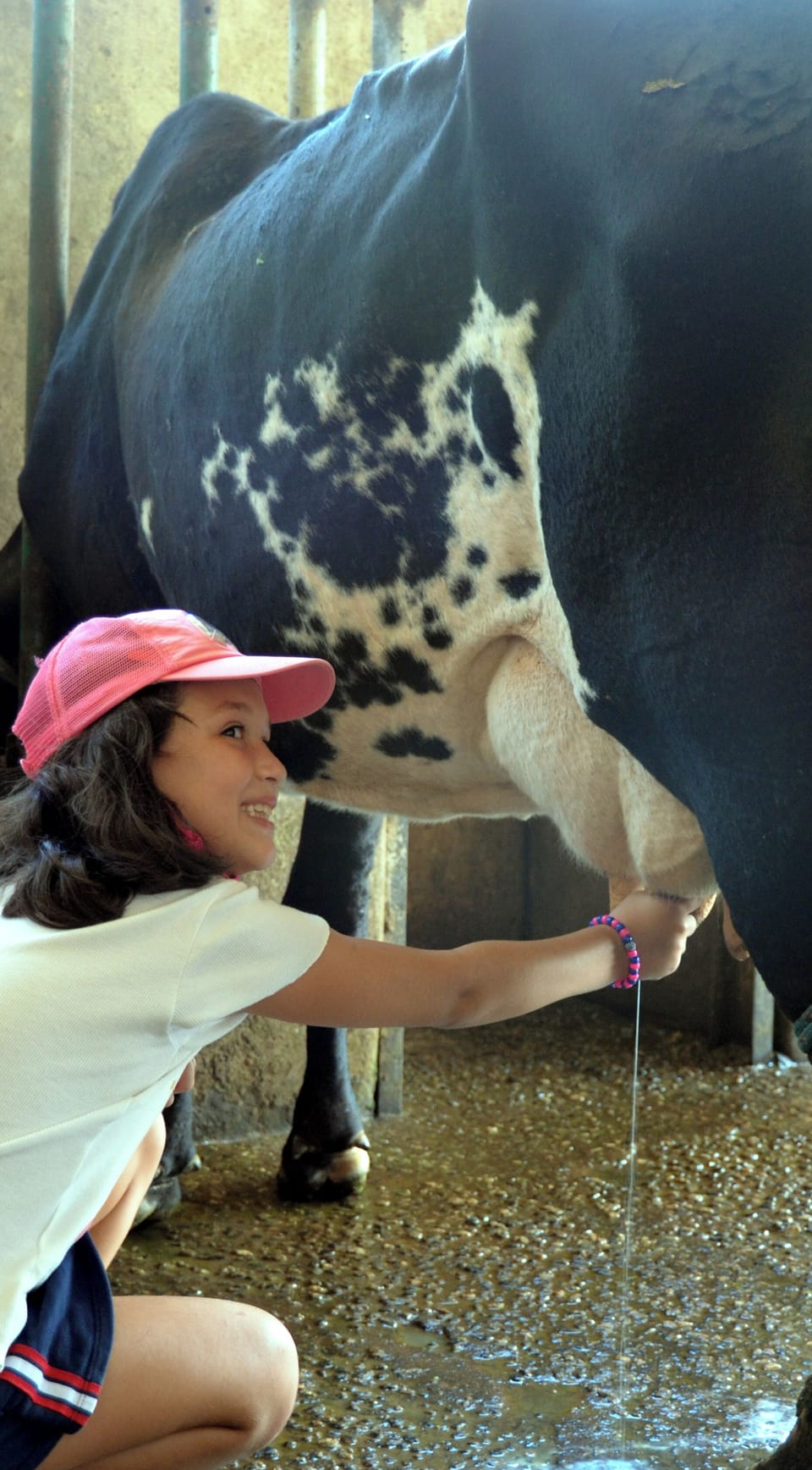 Children's activities