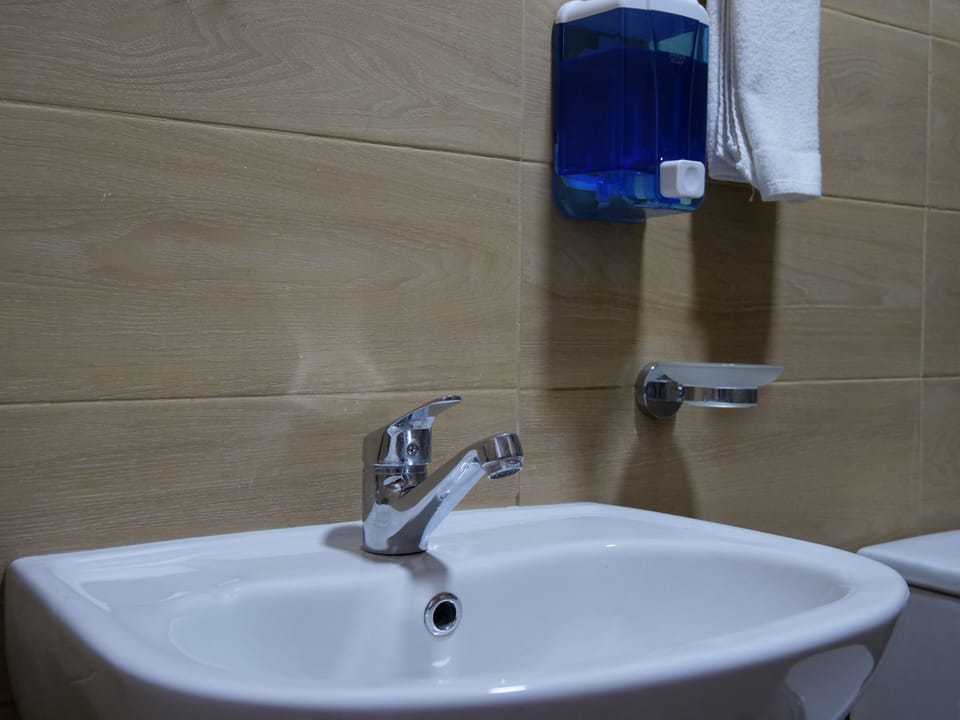 Shower, bidet, towels, soap