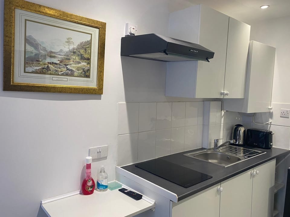 Studio | Private kitchen | Fridge, microwave, stovetop, electric kettle