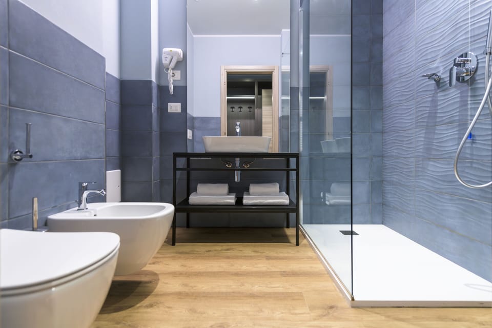 Free toiletries, hair dryer, bidet