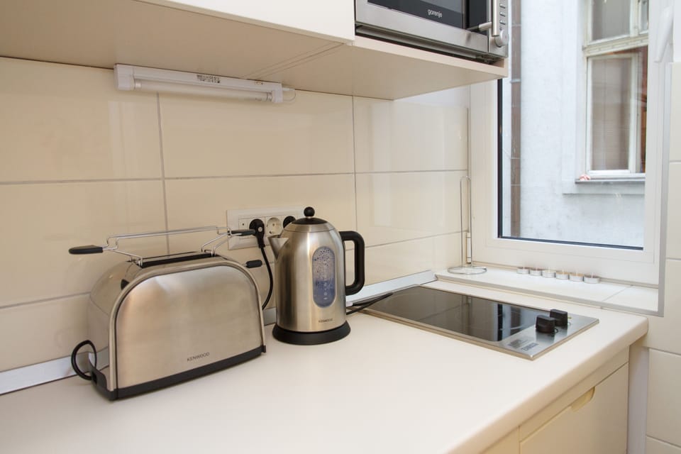 City Apartment | Private kitchen | Fridge, stovetop, dishwasher, electric kettle