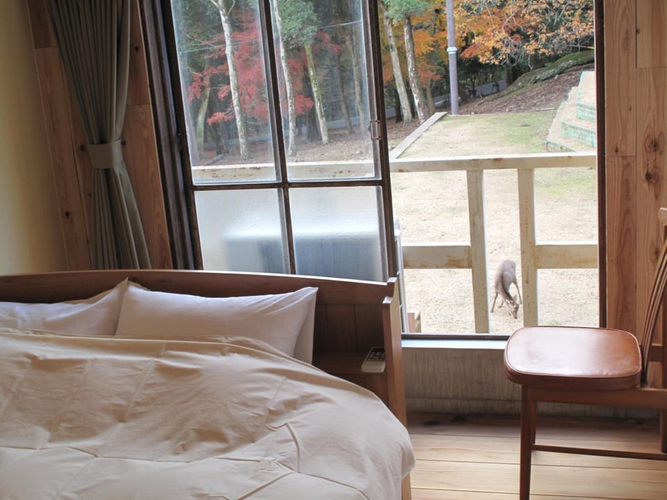 Down comforters, laptop workspace, WiFi (free), bed sheets