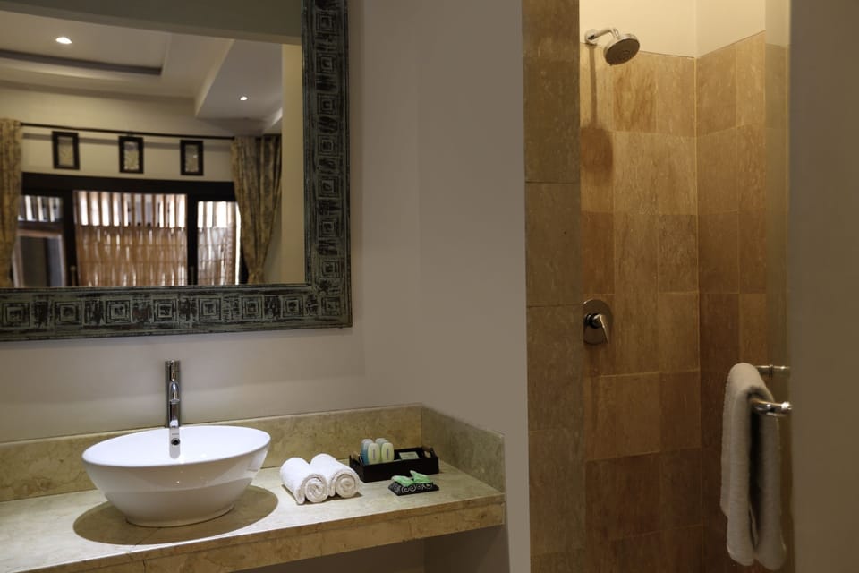 Deluxe Double or Twin Room | Bathroom | Shower, free toiletries, hair dryer, bidet