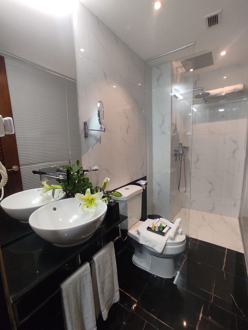 Shower, rainfall showerhead, designer toiletries, hair dryer