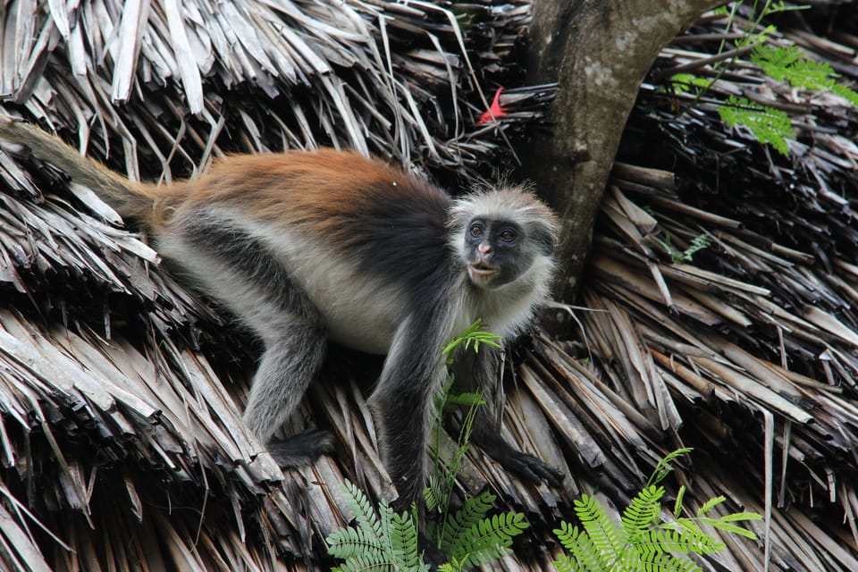 Ecotours