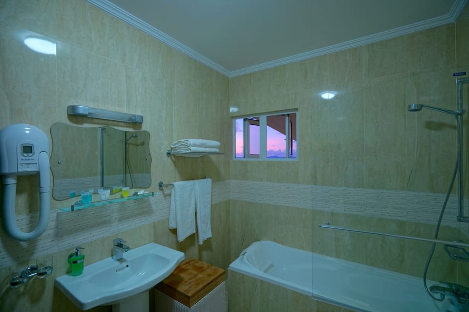Superior Double Room | Bathroom | Shower, free toiletries, hair dryer, bidet