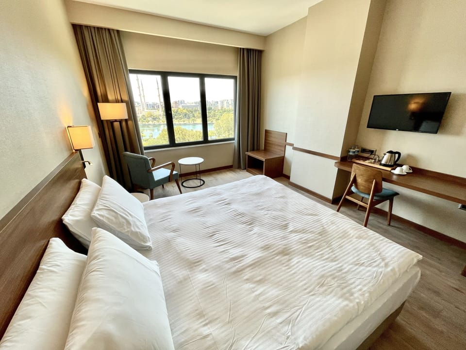 Superior Double Room, River View | Desk, soundproofing, free WiFi