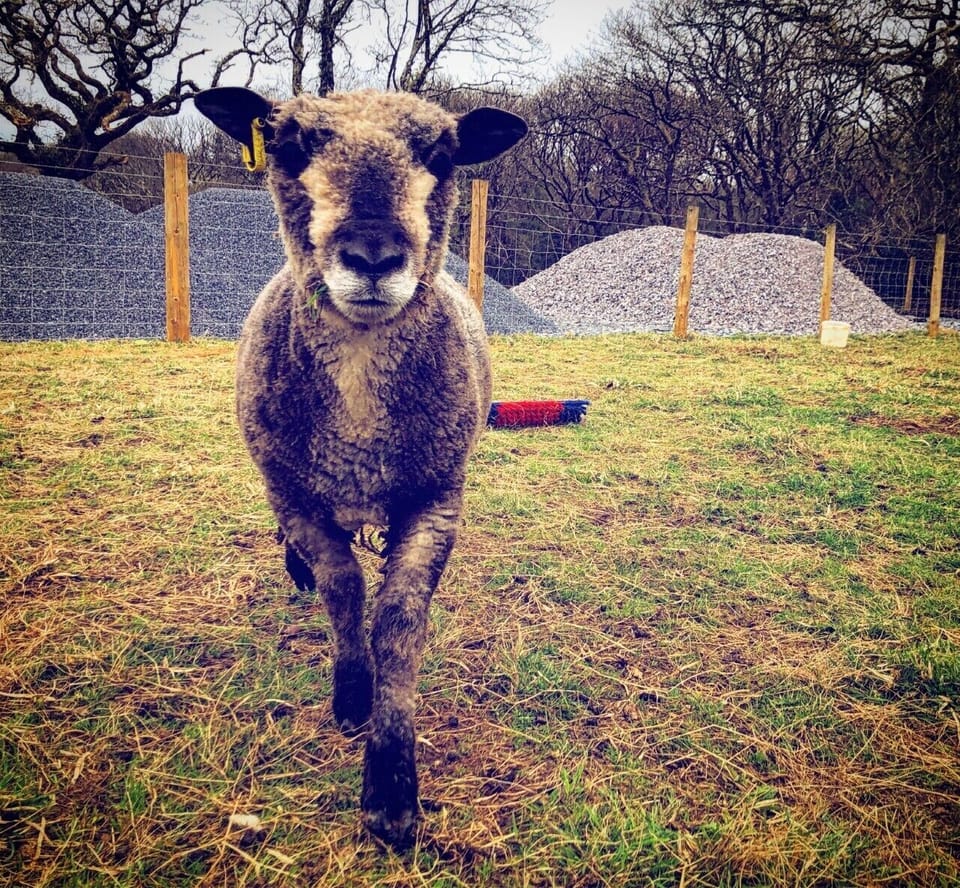 Cottage, Private Bathroom | Exterior