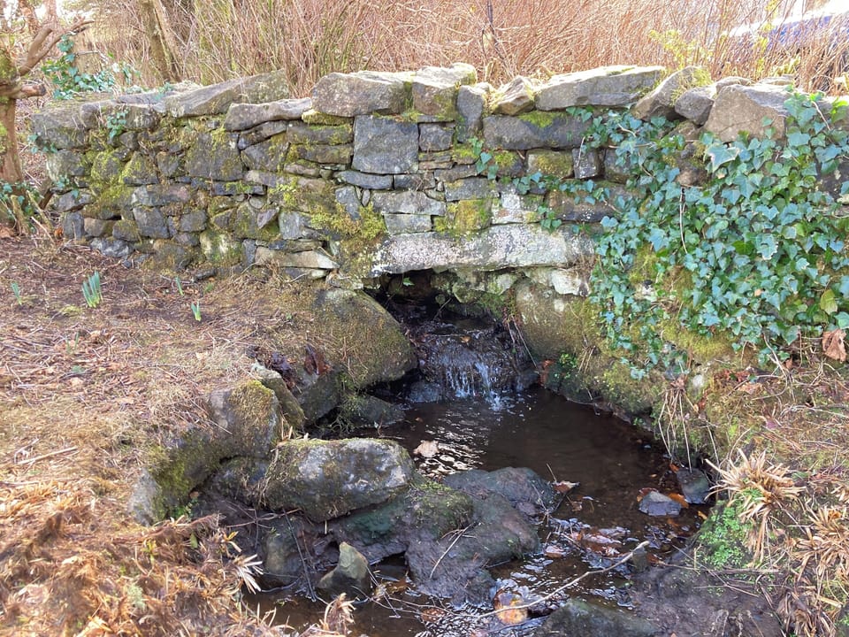 Cottage | Miscellaneous