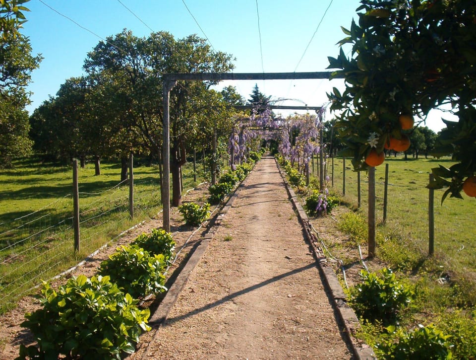 Quinta do Casalinho Bed and Breakfast in Santarém District, Portugal