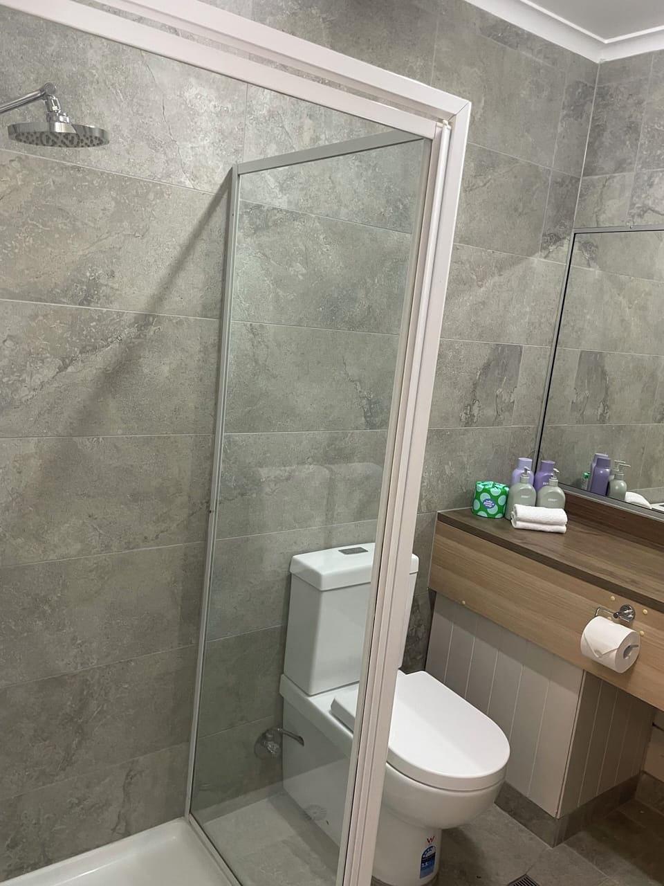Eco-friendly toiletries, hair dryer, towels, soap