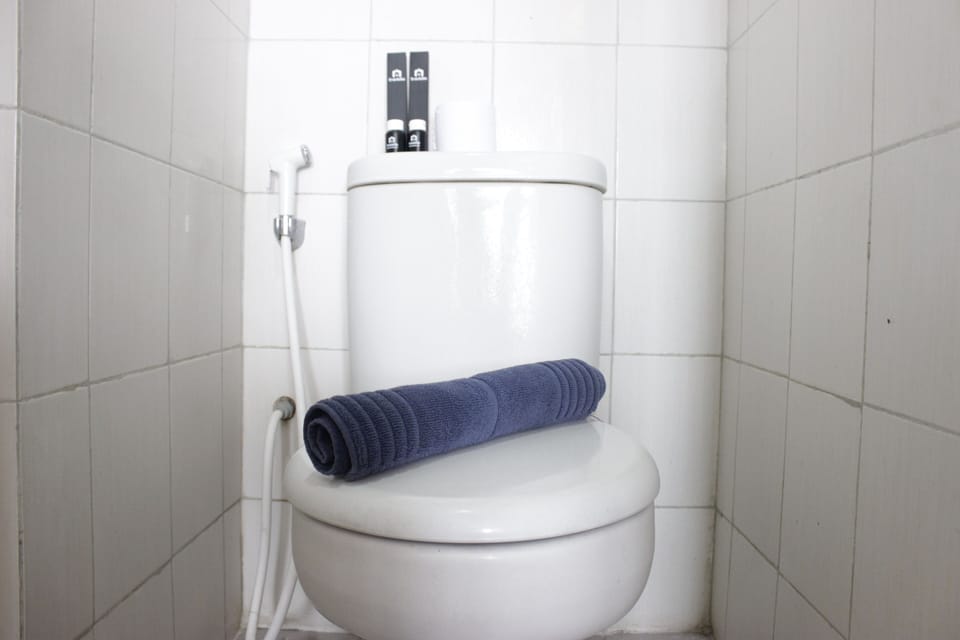 Room | Bathroom | Shower, free toiletries, towels