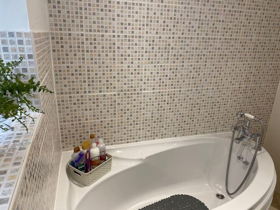 Apartment | Bathroom | Shower, hair dryer, towels