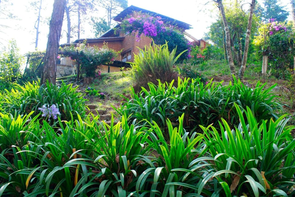 House, 3 Bedrooms, Smoking, Private Pool | Property grounds