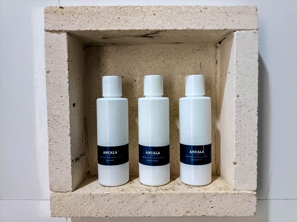 Deluxe Double Room | Bathroom amenities | Shower, free toiletries, towels, soap