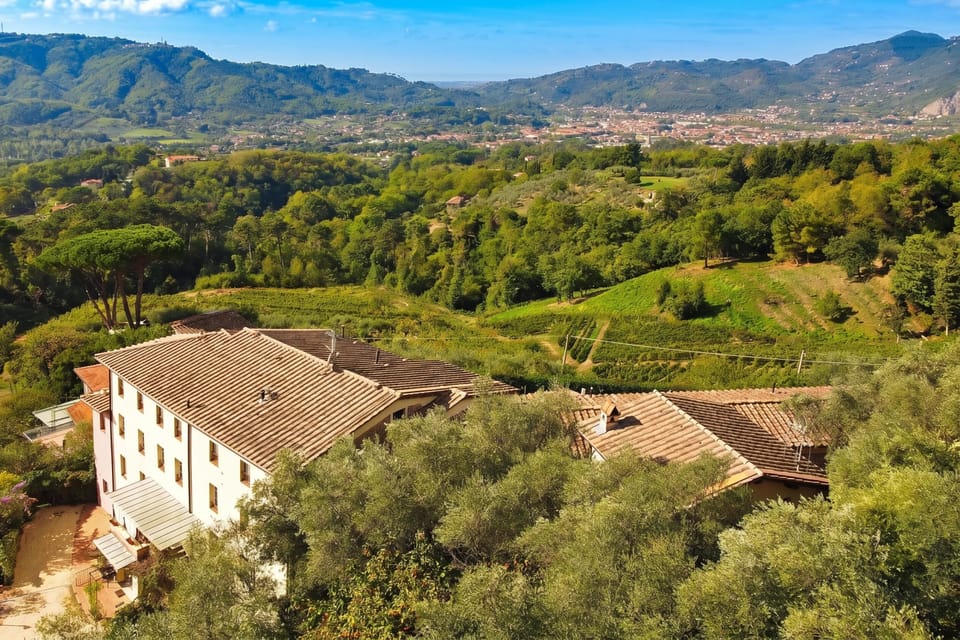 Family Apartment, Multiple Bedrooms, Mountainside (Alloro Grillo) | Aerial view