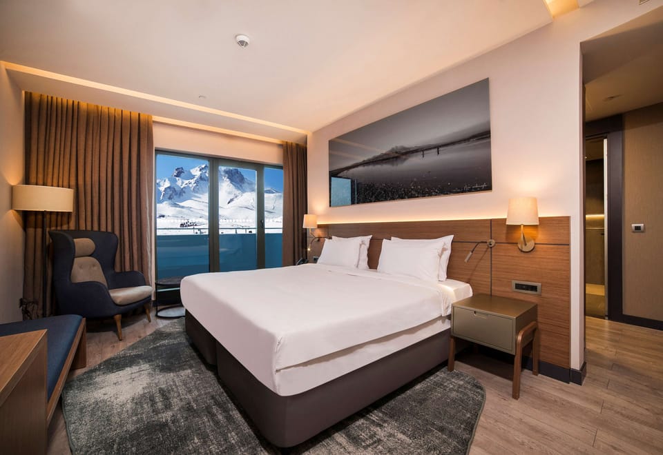 Premium bedding, free minibar, in-room safe, desk