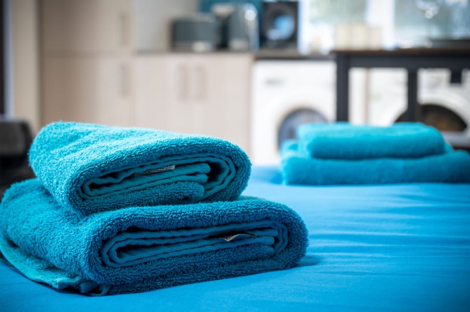 Apartment (1 Bedroom) | 1 bedroom, iron/ironing board, WiFi (free), bed sheets
