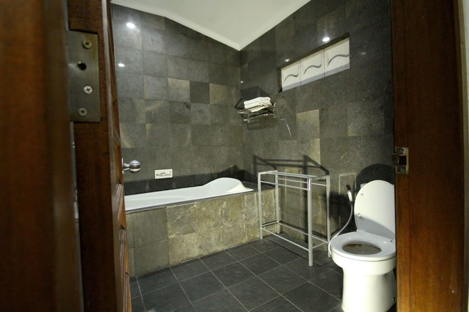 Combined shower/tub, hair dryer, bidet, towels