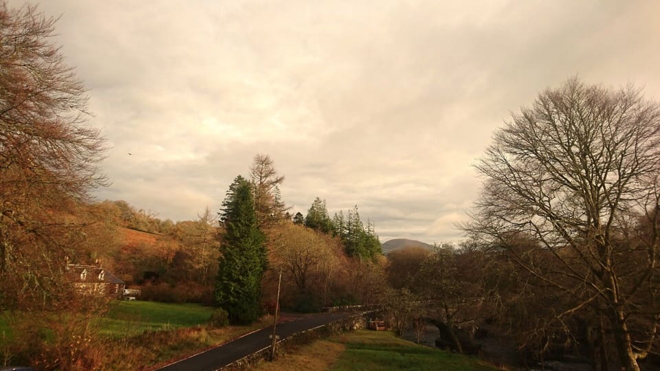 Hypo-allergenic bedding, individually furnished, blackout drapes