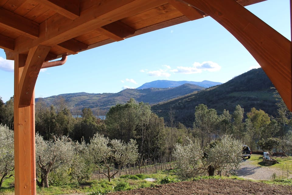 Apartment, 1 Bedroom, Smoking, Terrace | View from property