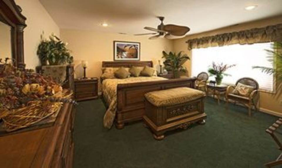 Room (Paradise suite) | Individually decorated, individually furnished, soundproofing