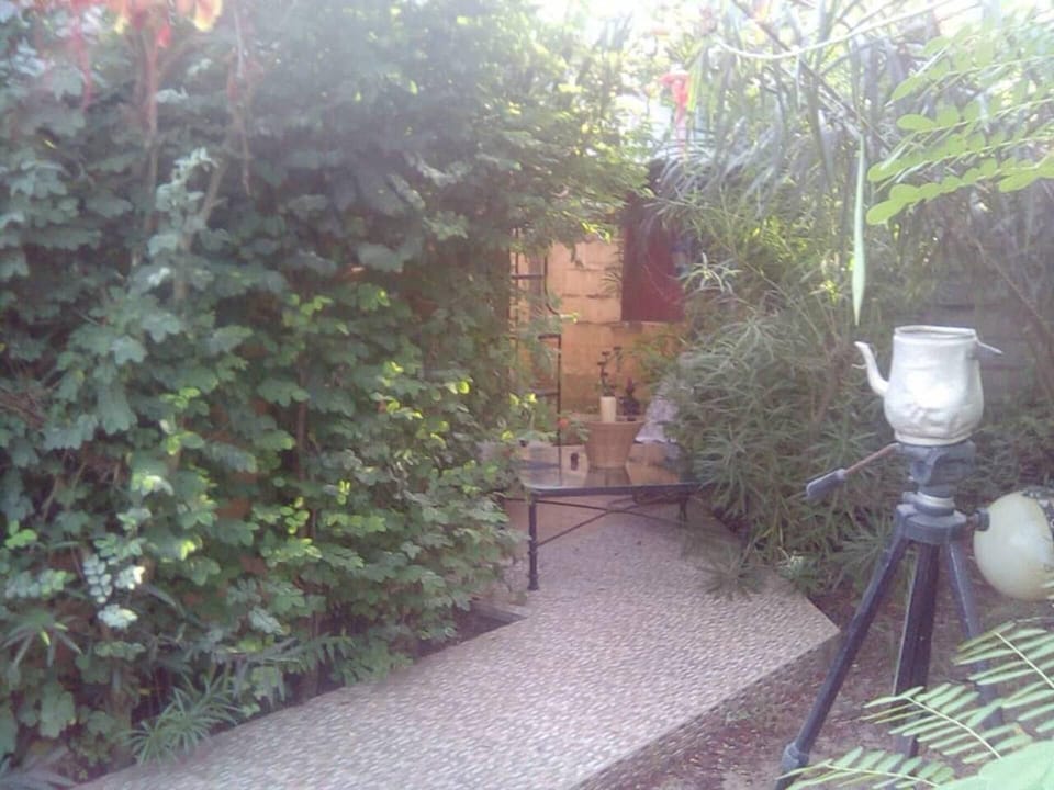 Cottage | Property grounds