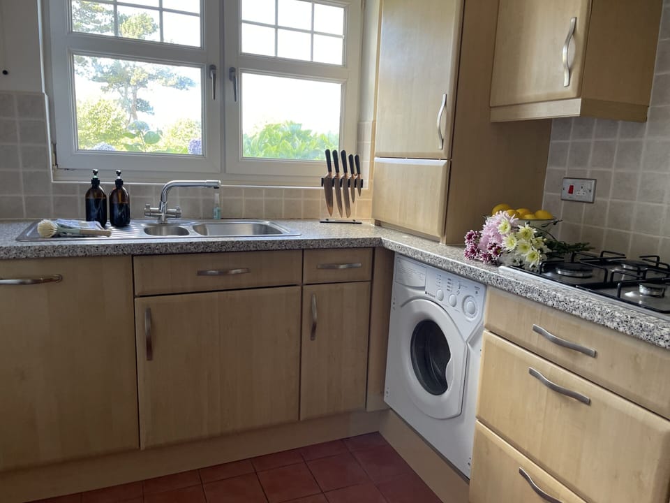 Panoramic Apartment, Private Bathroom, Garden View | Shared kitchen
