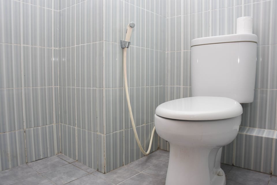 Room | Bathroom | Shower, free toiletries, towels