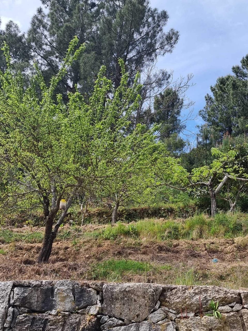 Quinta de Leandres Country House in Extremadura, Spain